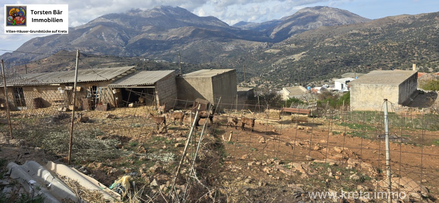 Foto der Immobilie (72882)