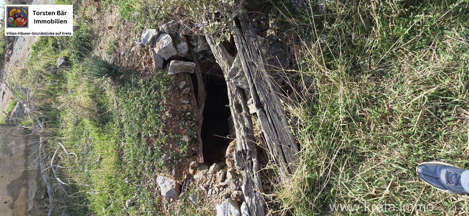 Foto der Immobilie (72897)