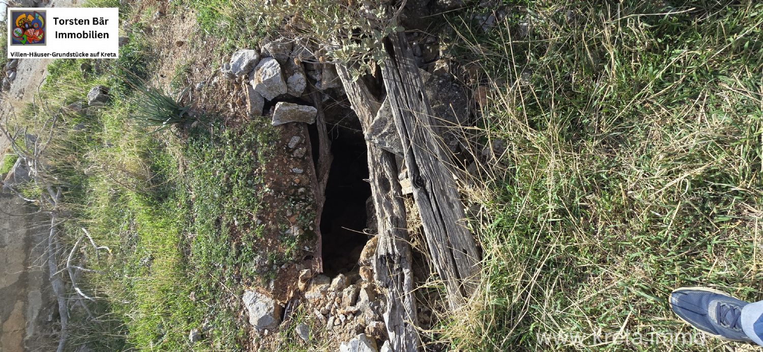 Foto der Immobilie (72899)