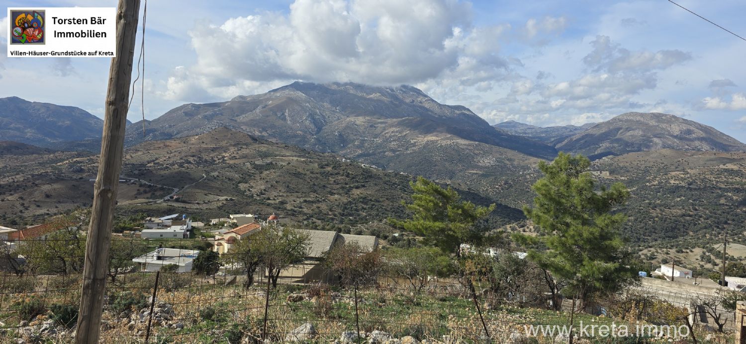 Foto der Immobilie (72907)