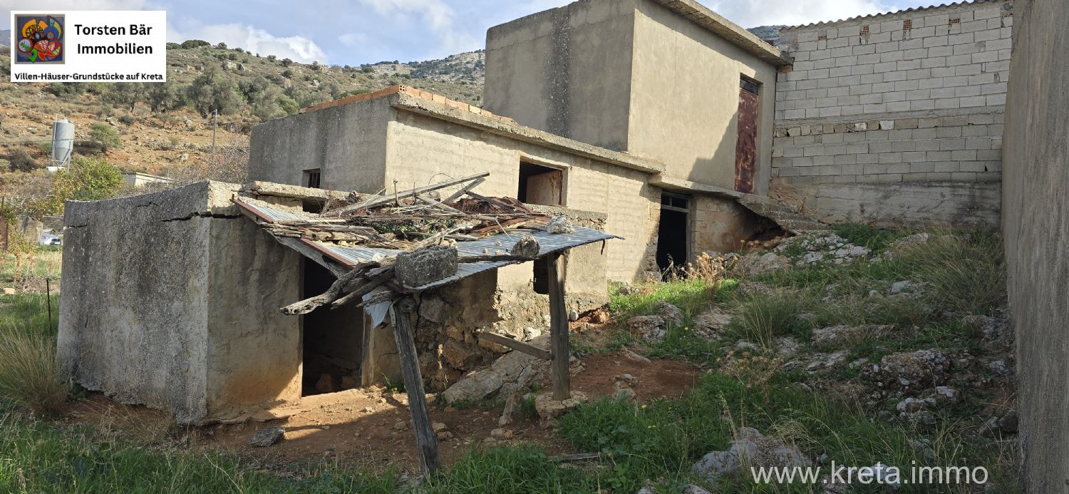 Foto der Immobilie (72912)