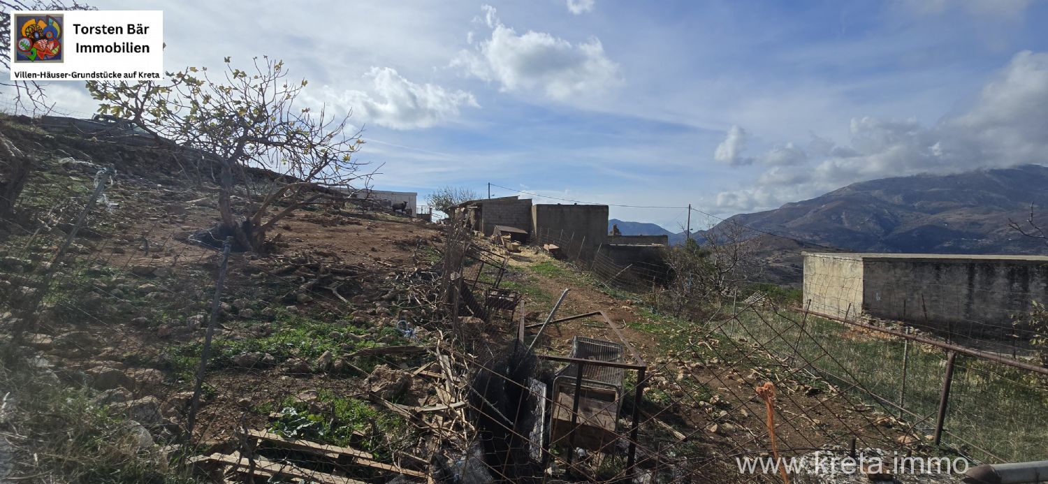 Foto der Immobilie (72921)