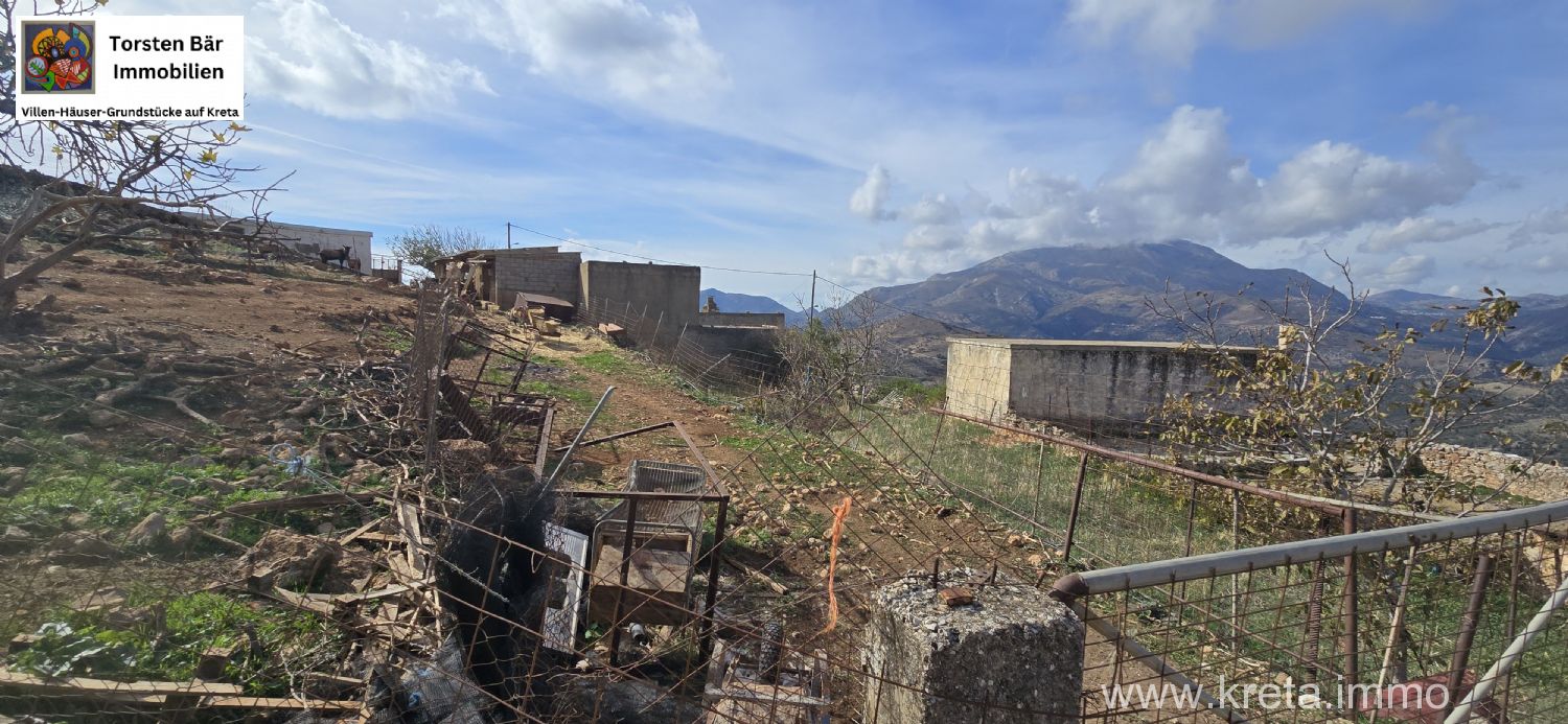 Foto der Immobilie (72928)