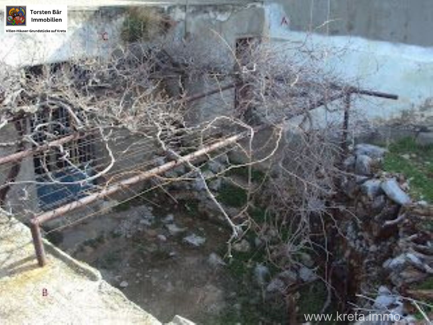 Foto der Immobilie (72933)