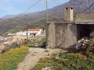 Foto der Immobilie (67730)