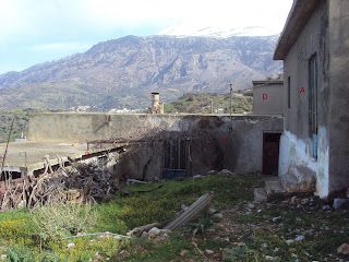 Foto der Immobilie (67728)