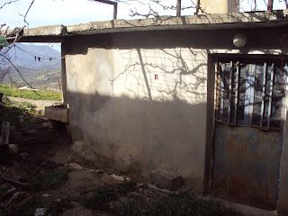 Foto der Immobilie (67729)