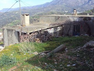 Foto der Immobilie (67732)