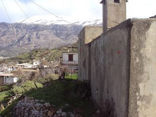 Foto der Immobilie (67733)