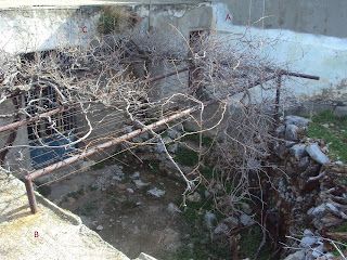 Foto der Immobilie (67737)