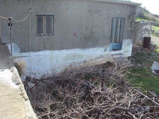 Foto der Immobilie (67739)