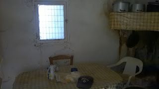 Foto der Immobilie (67741)