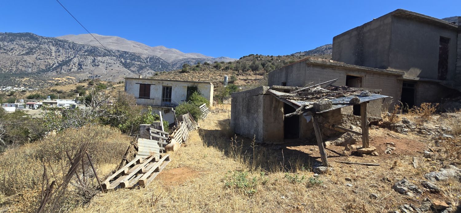 Foto der Immobilie (67747)