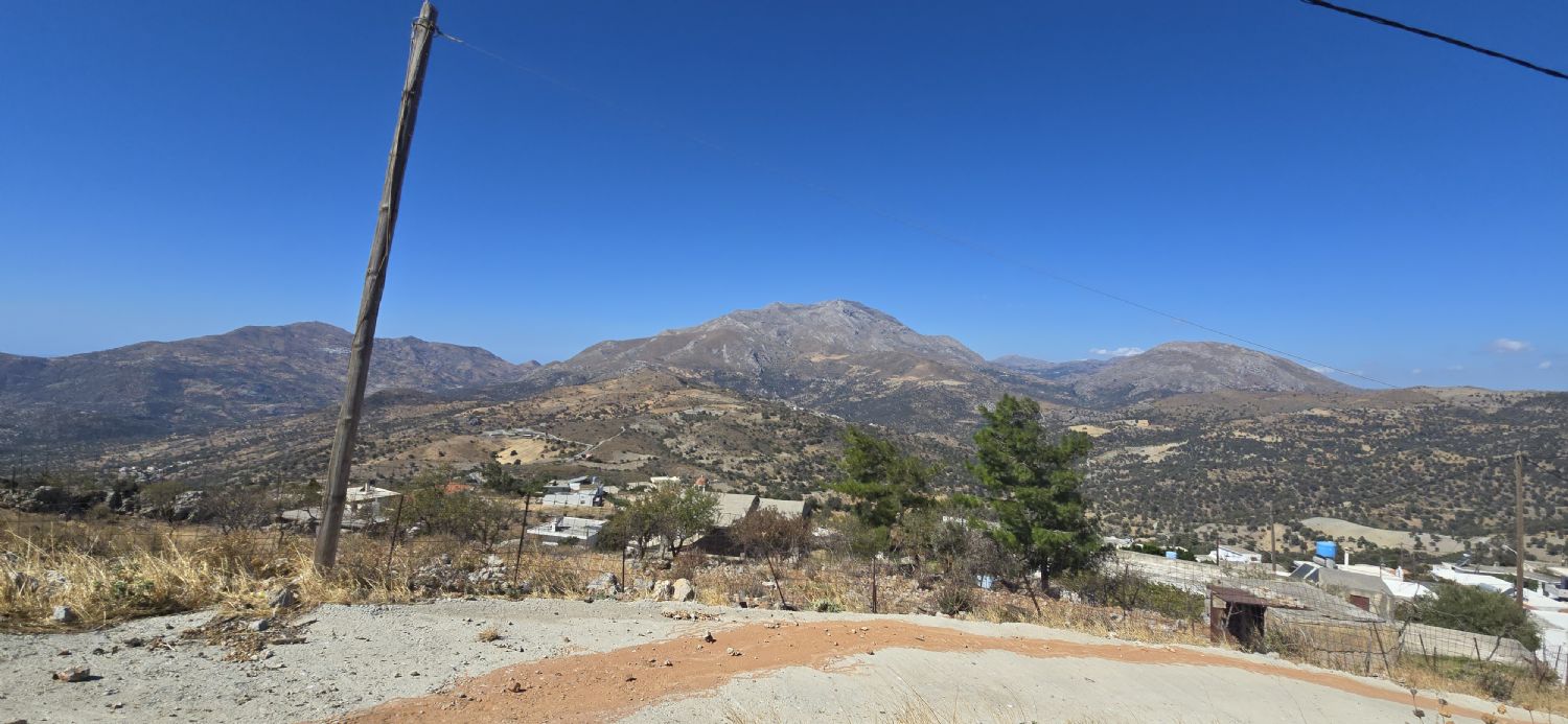 Foto der Immobilie (67749)