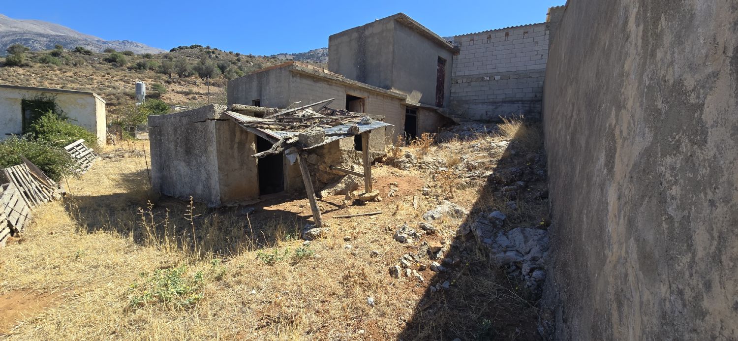 Foto der Immobilie (67754)