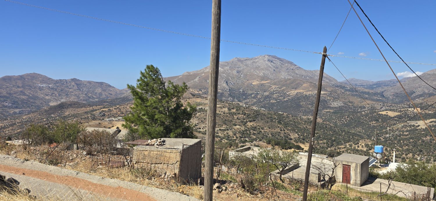 Foto der Immobilie (67760)