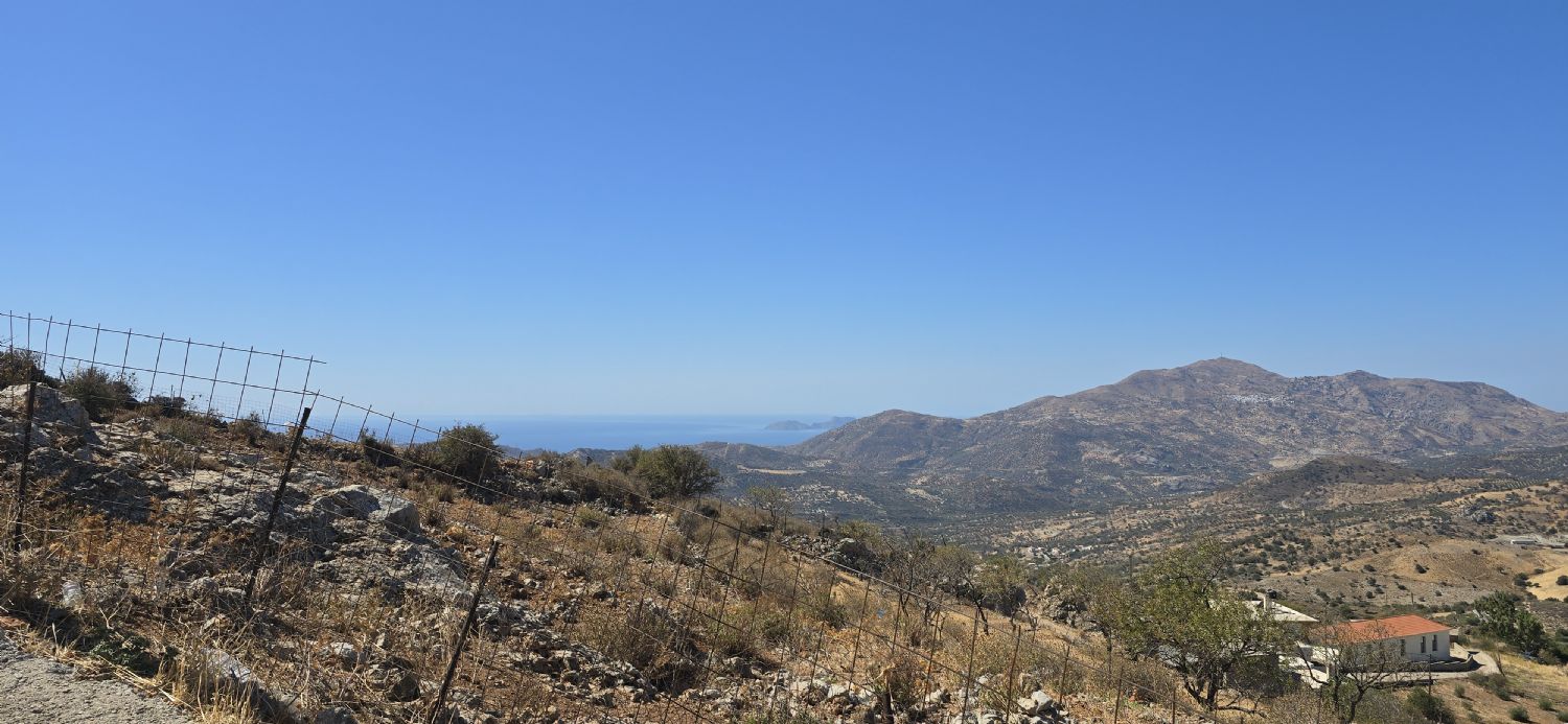 Foto der Immobilie (67761)