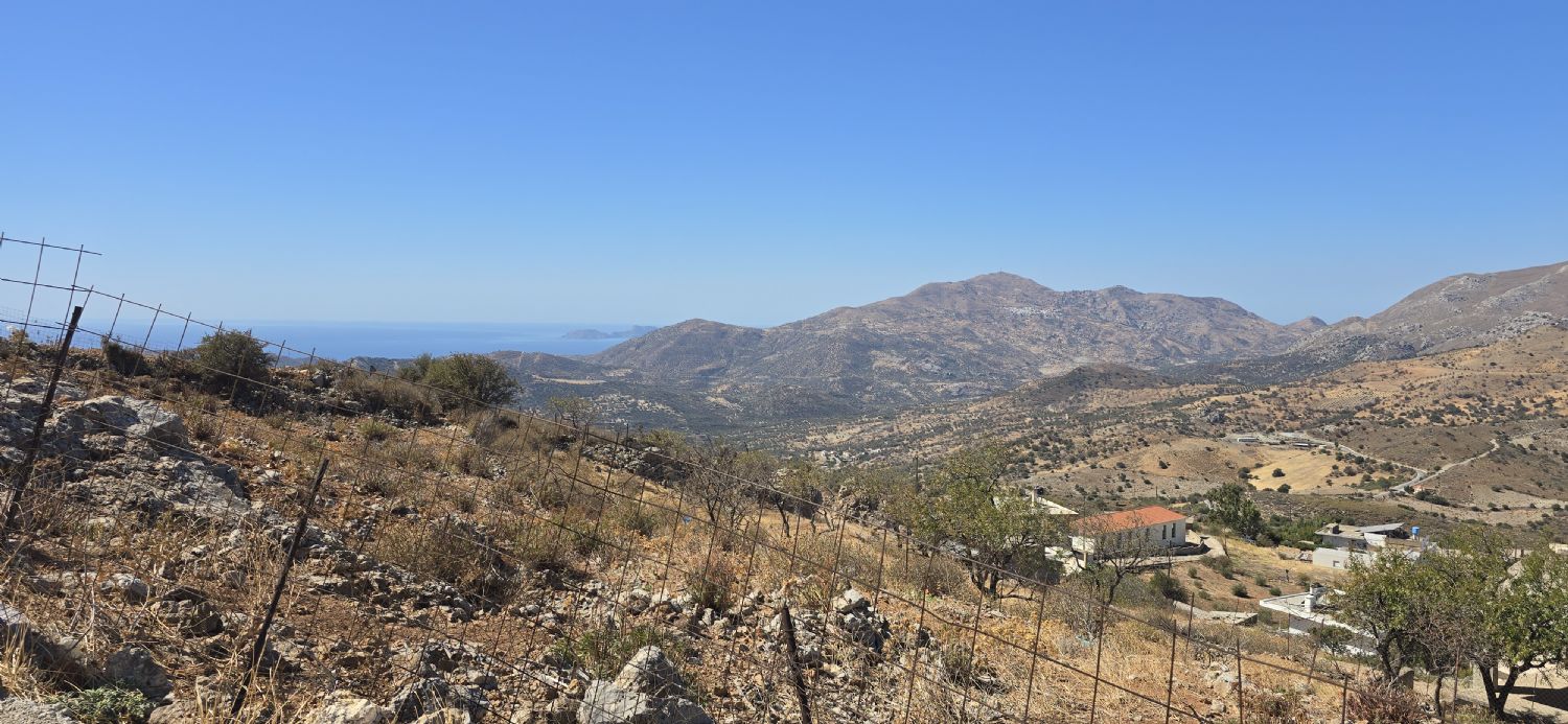 Foto der Immobilie (67762)