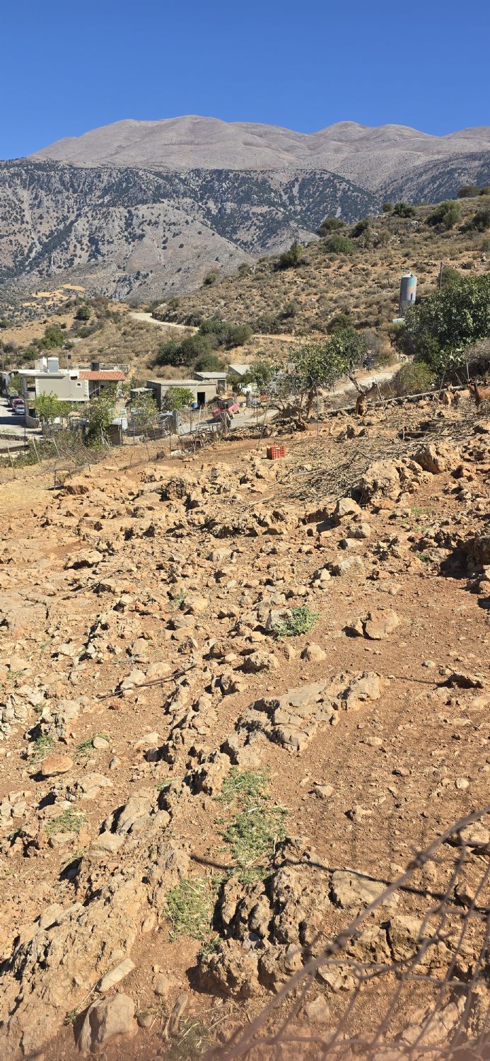 Foto der Immobilie (67763)