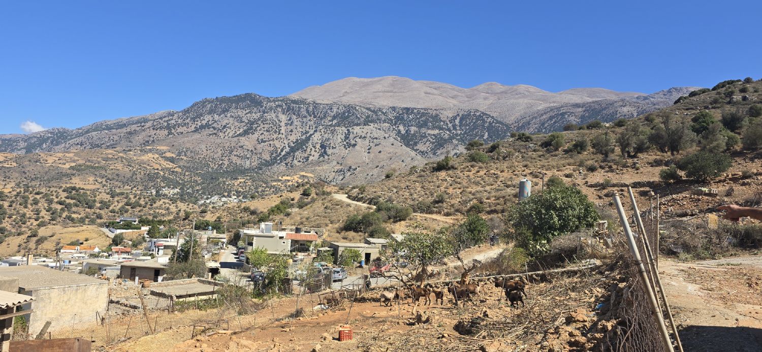 Foto der Immobilie (67766)