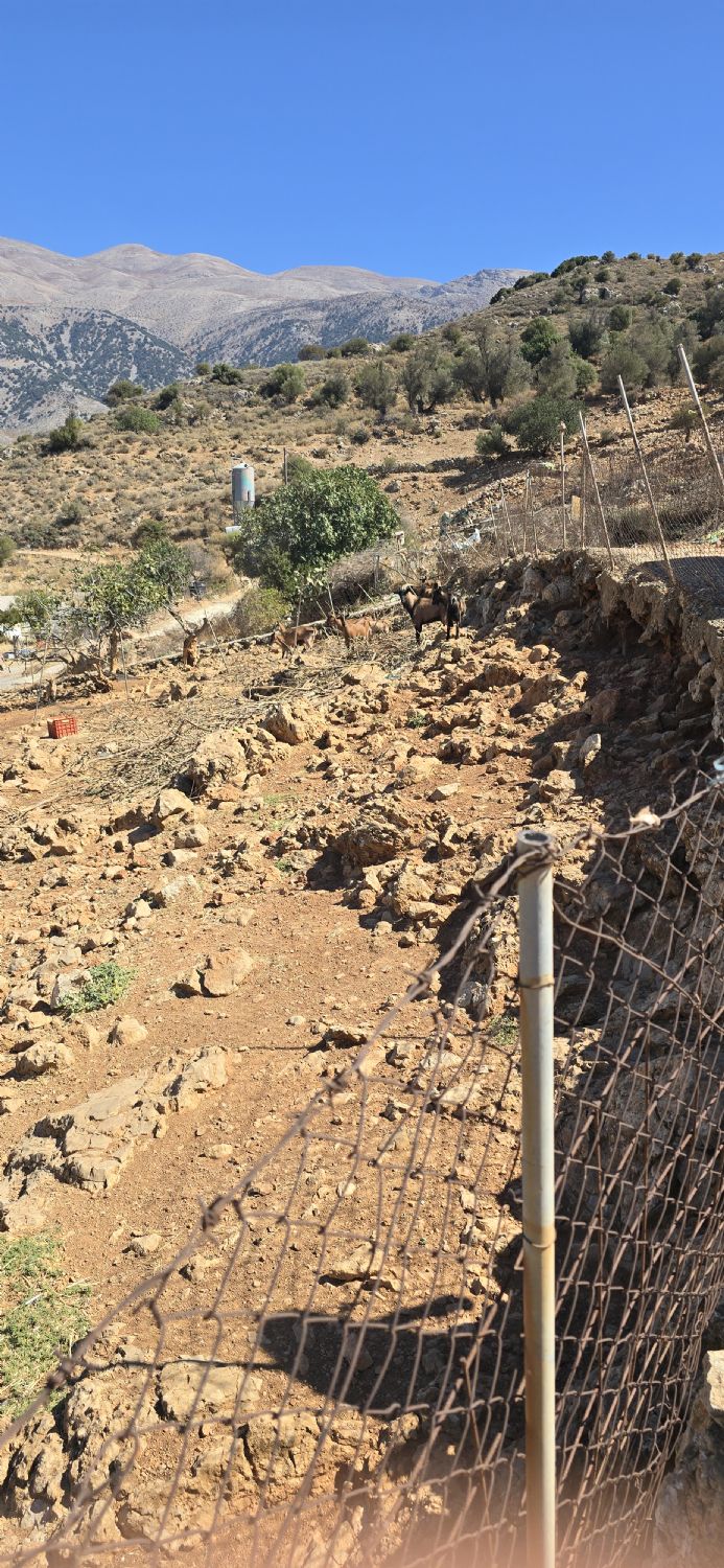 Foto der Immobilie (67767)