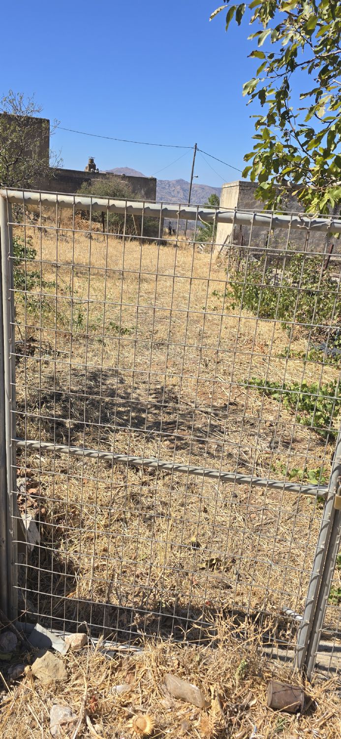 Foto der Immobilie (67768)