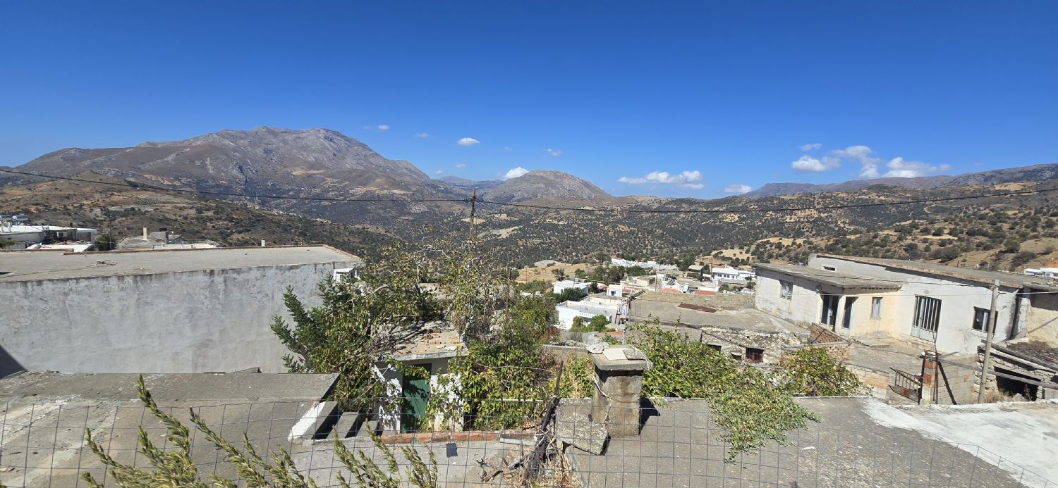 Foto der Immobilie (67769)