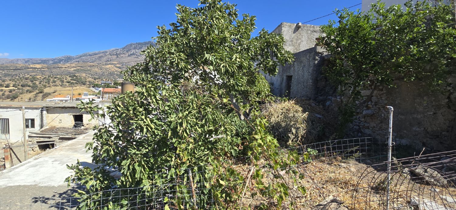 Foto der Immobilie (67770)