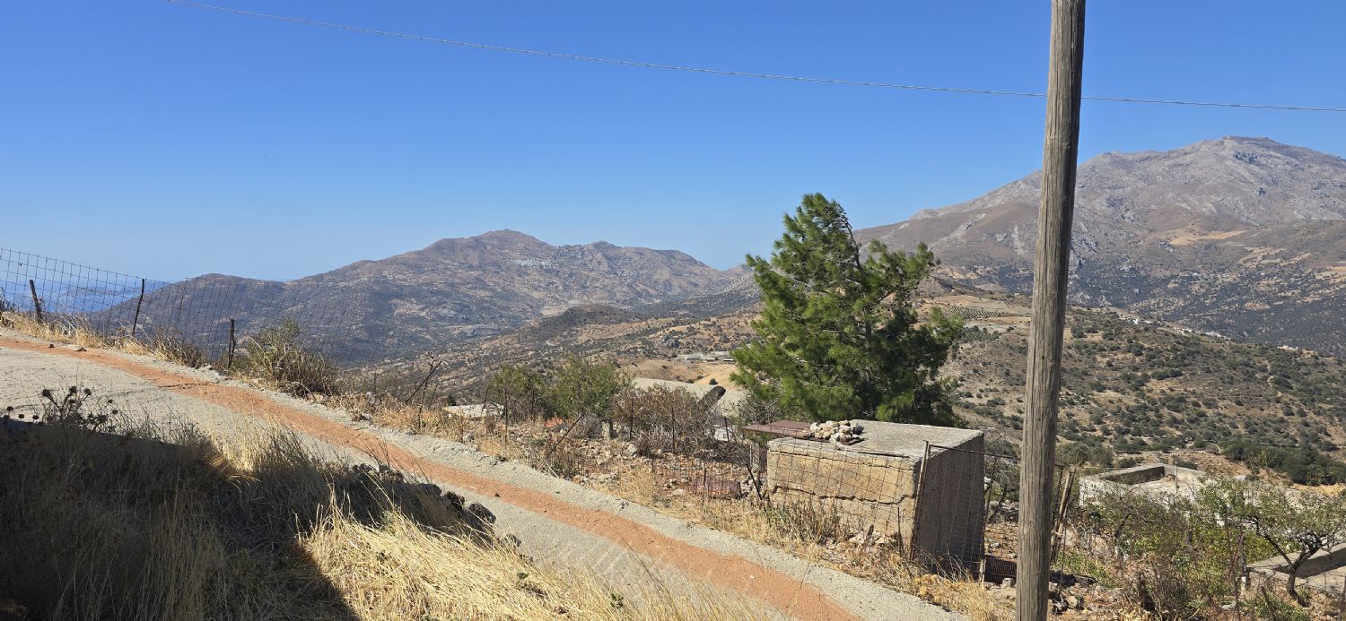 Foto der Immobilie (67773)