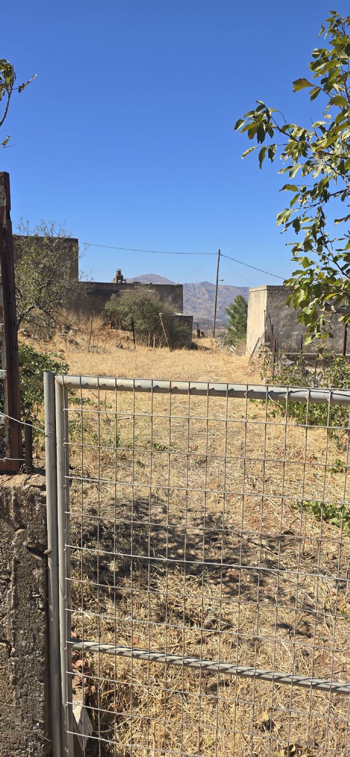 Foto der Immobilie (67774)