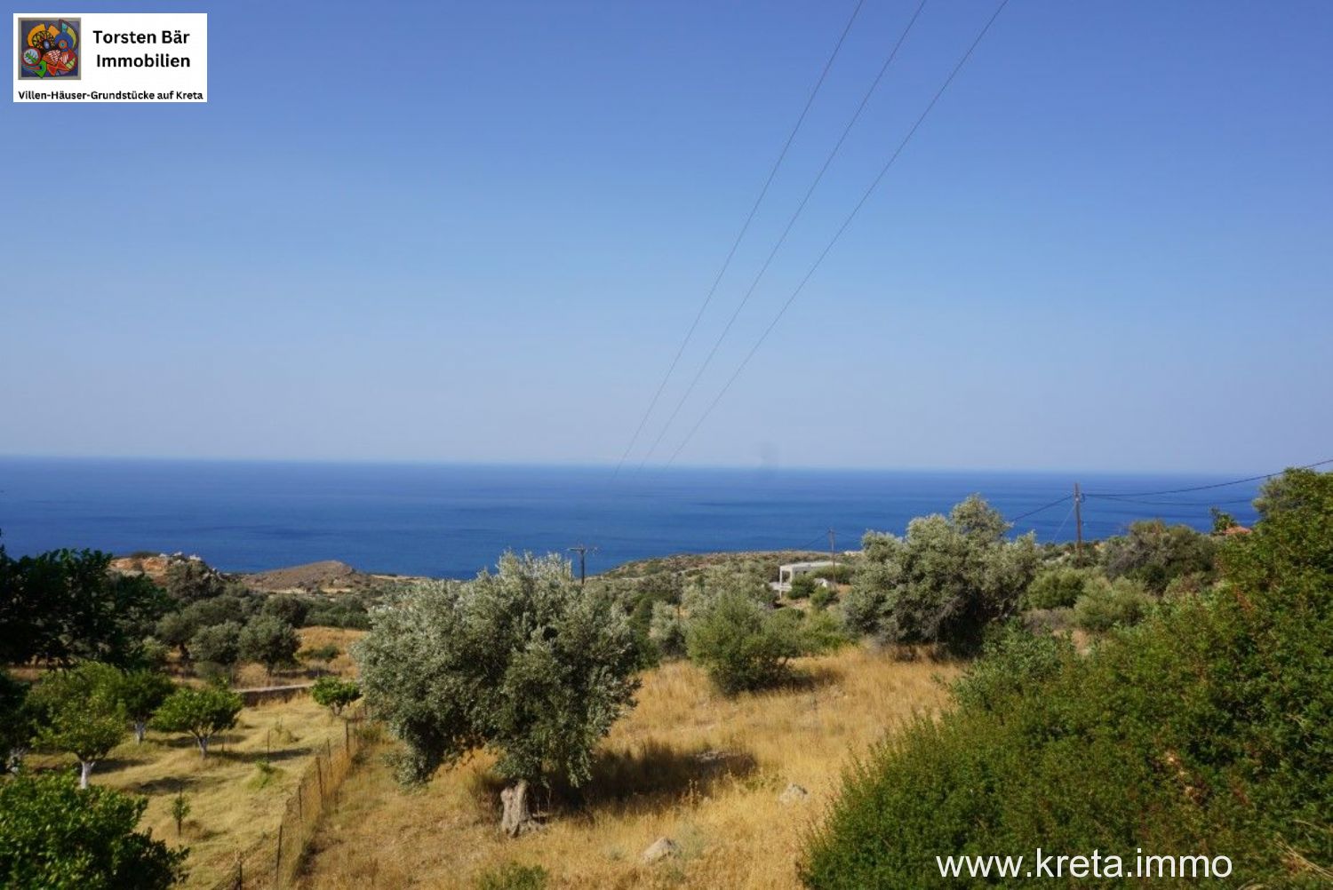 Foto der Immobilie (72508)