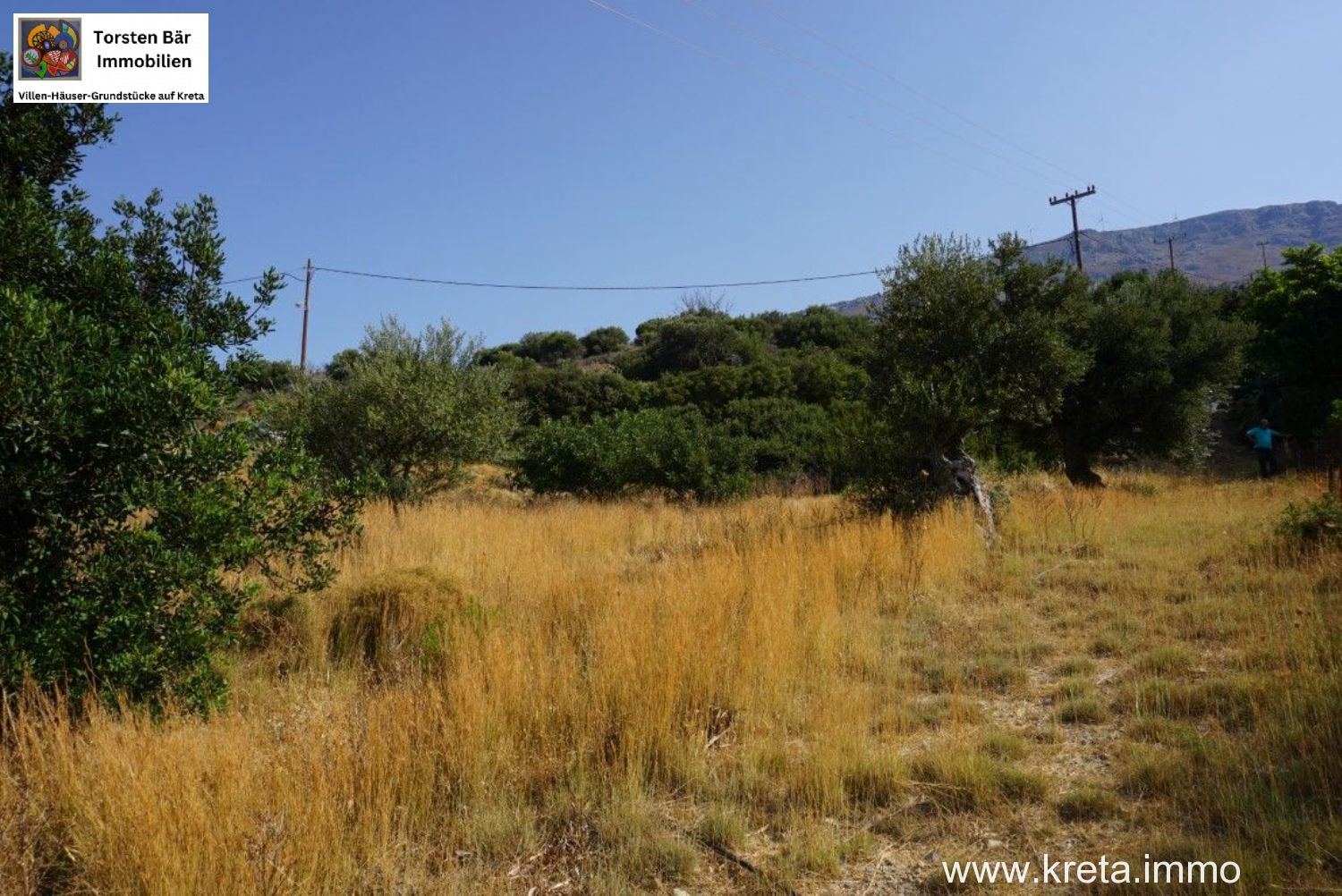 Foto der Immobilie (72509)