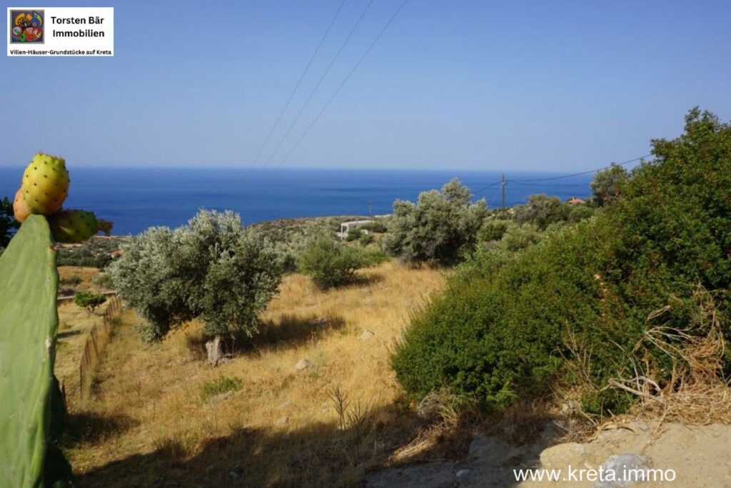 Foto der Immobilie (72507)