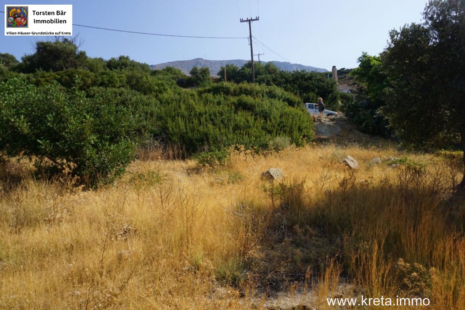 Foto der Immobilie (72513)