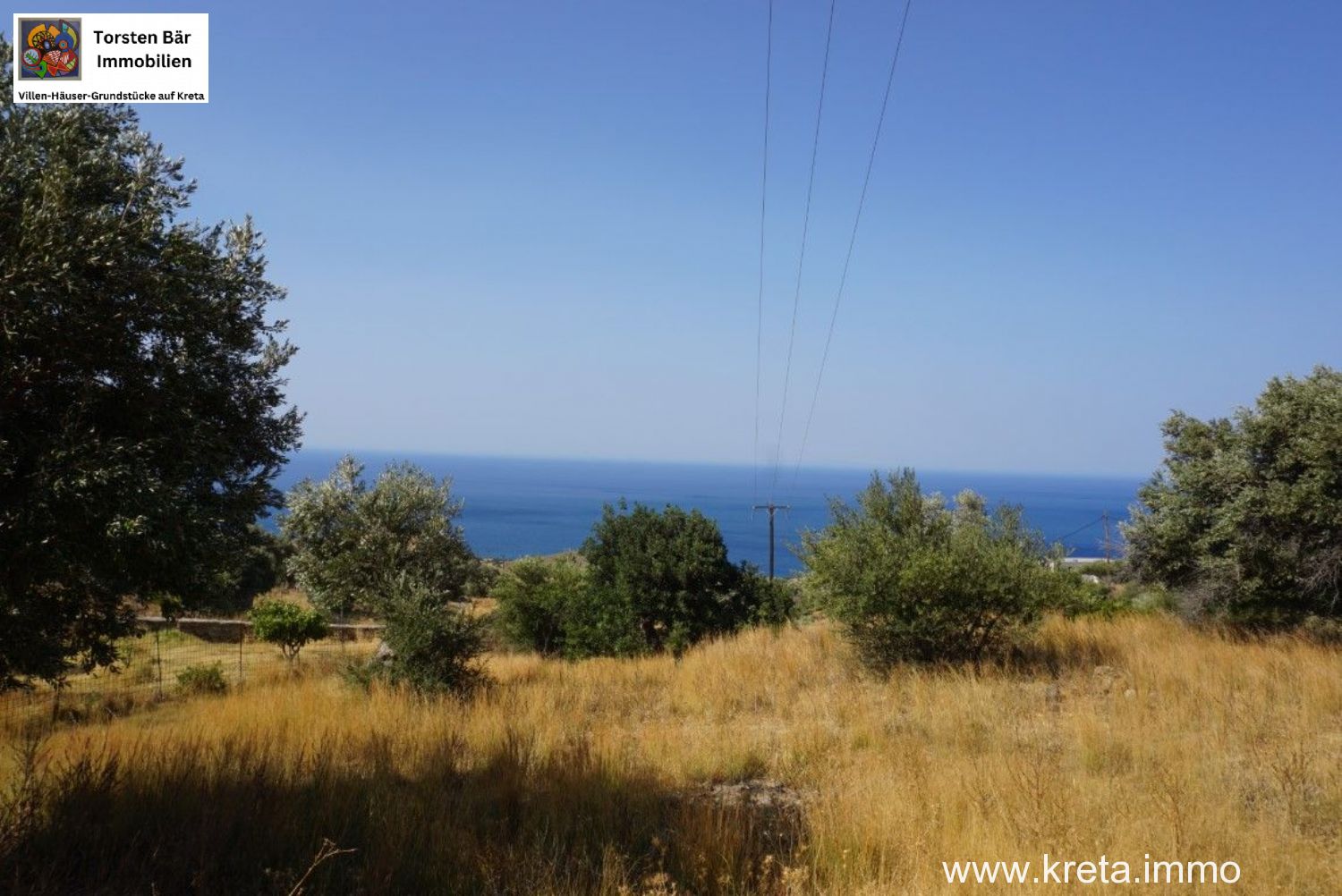 Foto der Immobilie (72514)