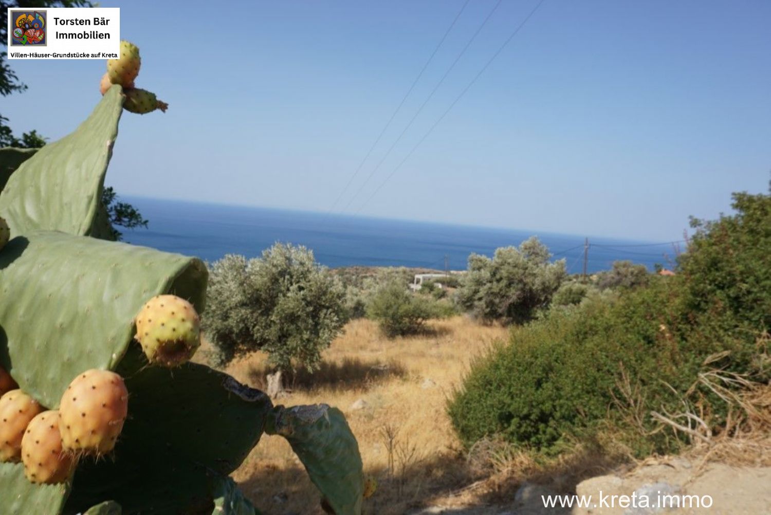 Foto der Immobilie (72516)