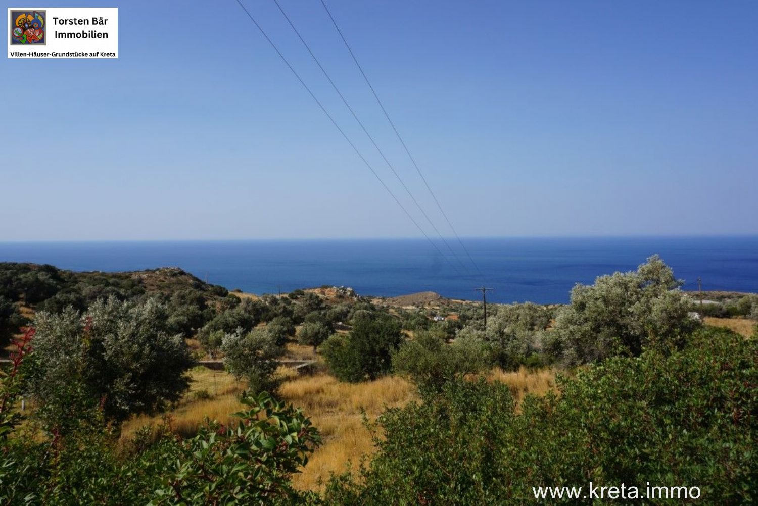 Foto der Immobilie (72519)