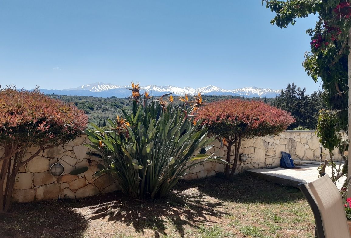 Foto der Immobilie (71656)