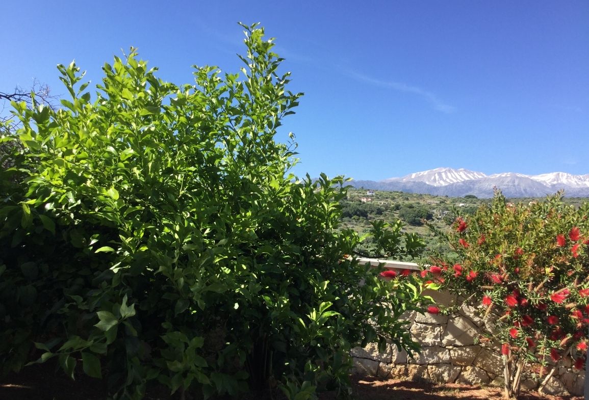 Foto der Immobilie (71655)