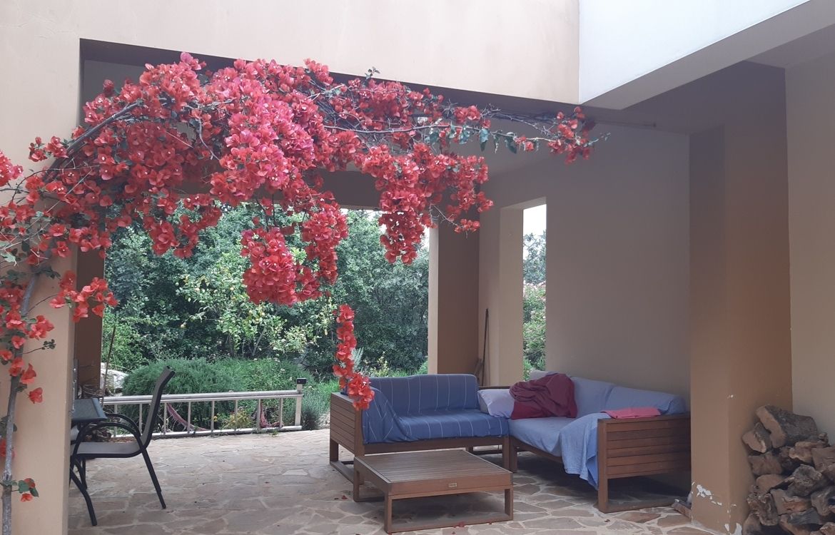 Foto der Immobilie (71698)