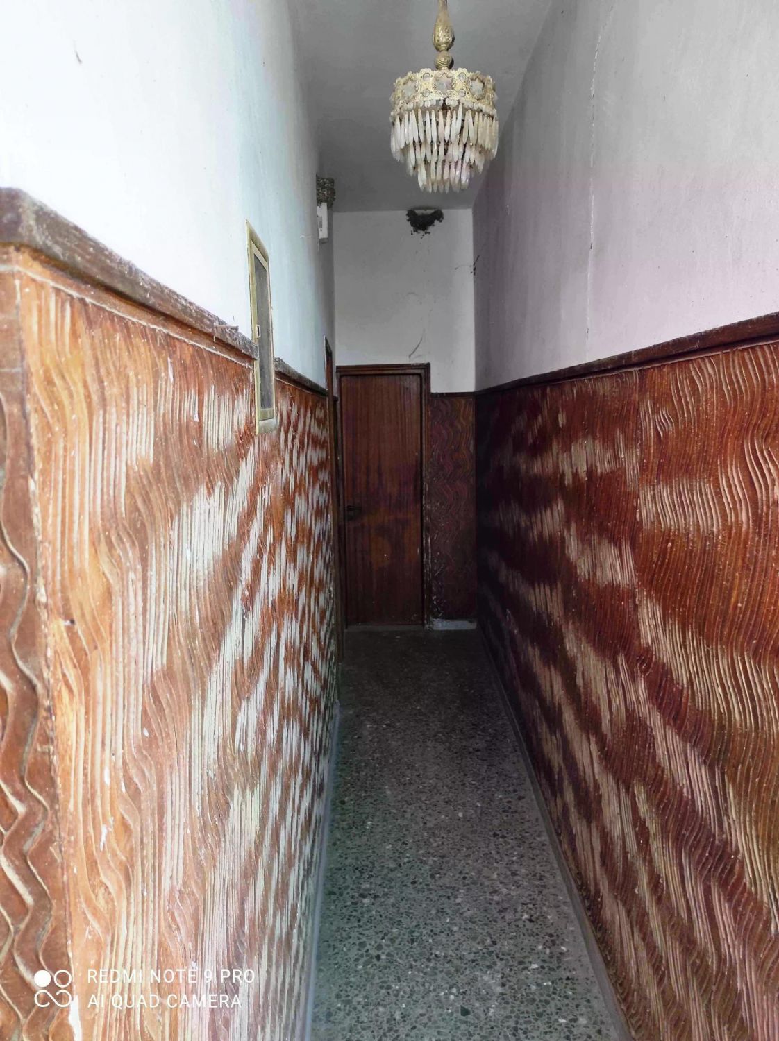 Foto der Immobilie (71717)