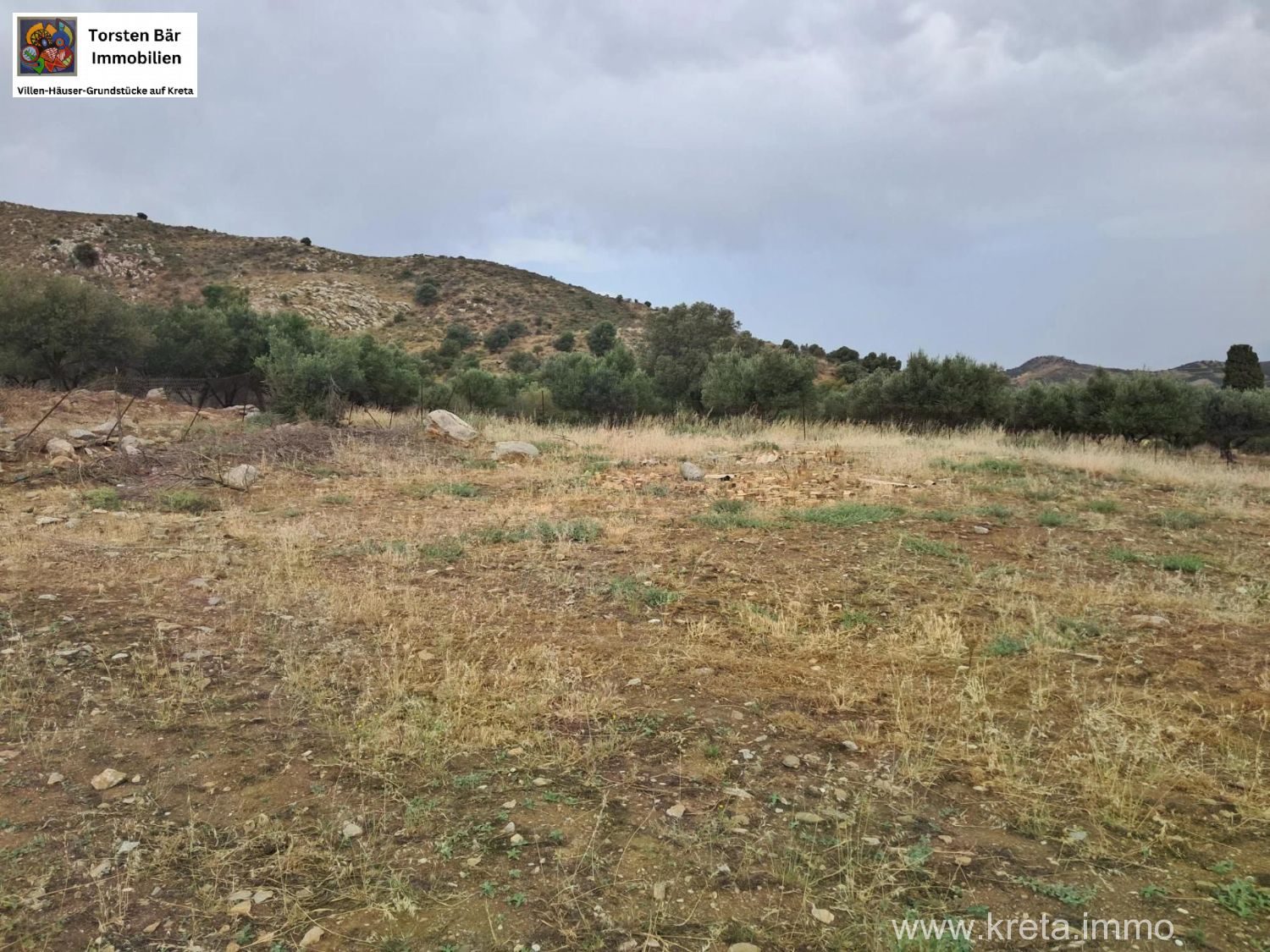 Foto der Immobilie (71842)