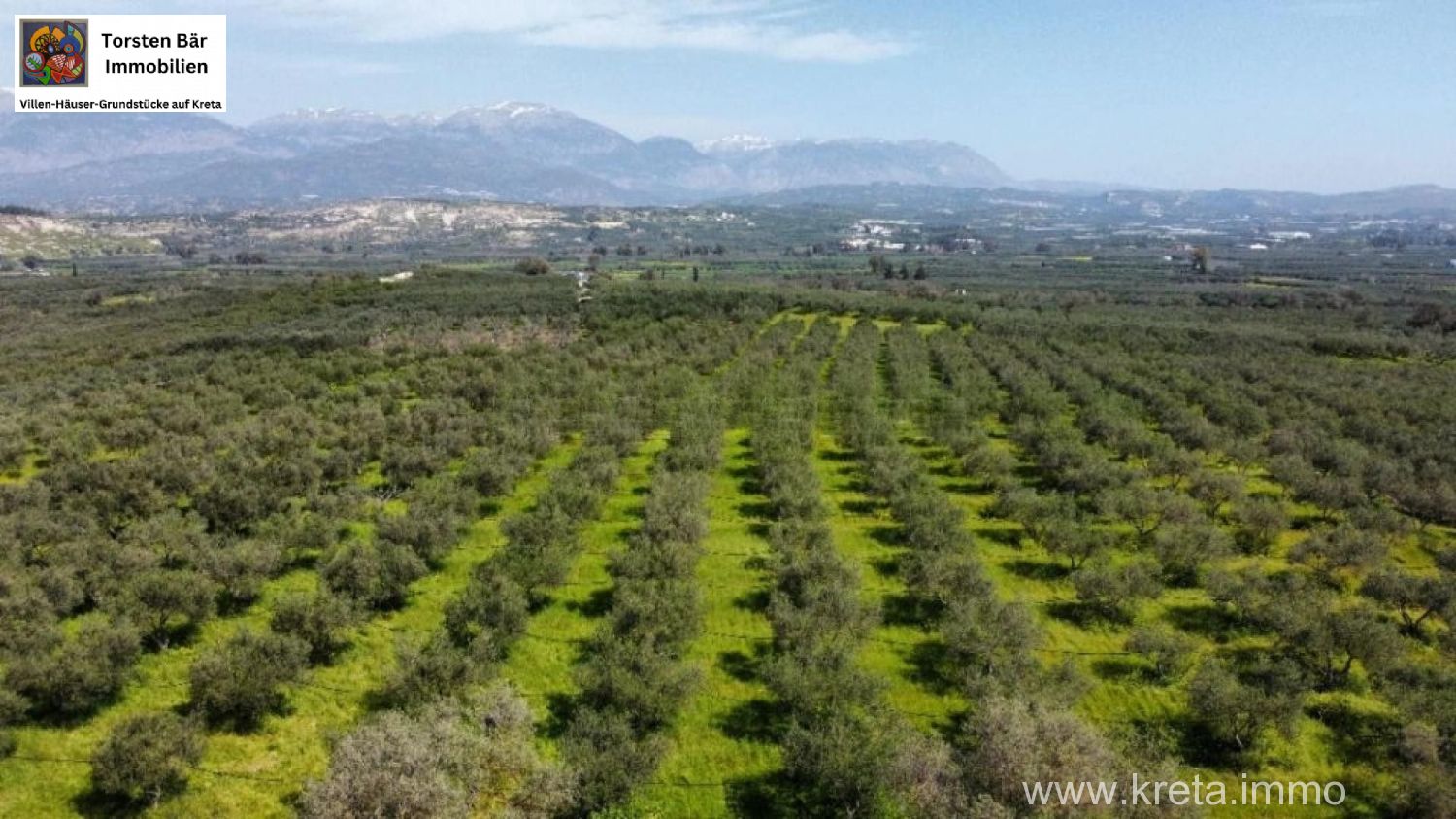 Foto der Immobilie (72308)