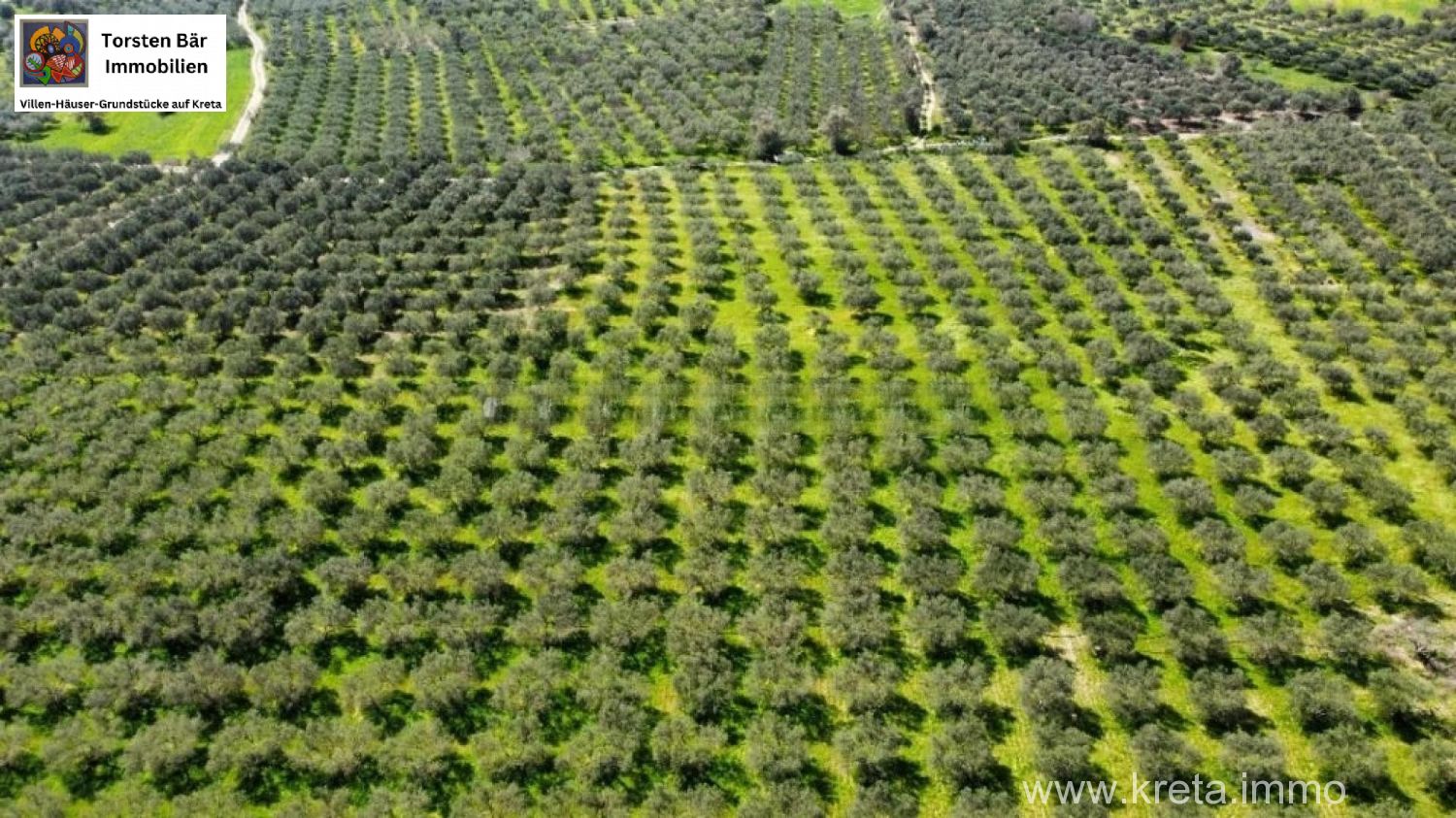 Foto der Immobilie (72310)