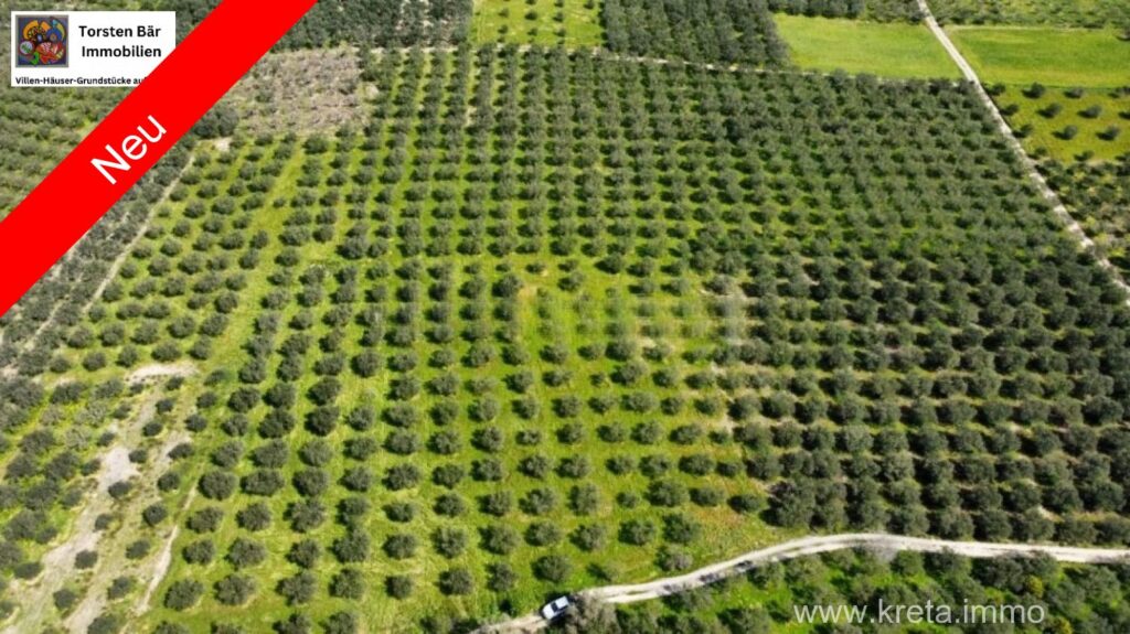 Foto der Immobilie (72307)