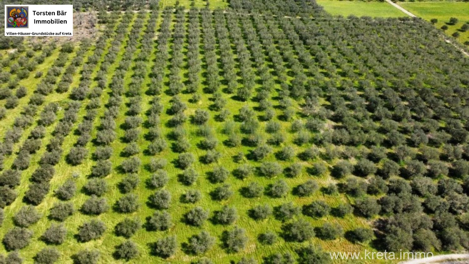 Foto der Immobilie (72312)