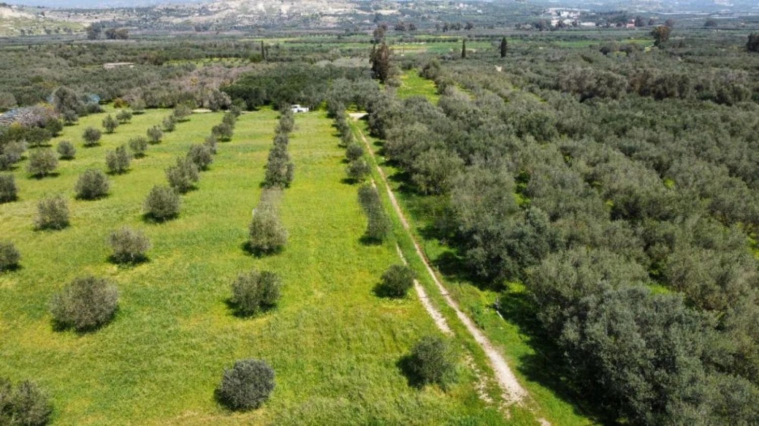 Foto der Immobilie (72323)