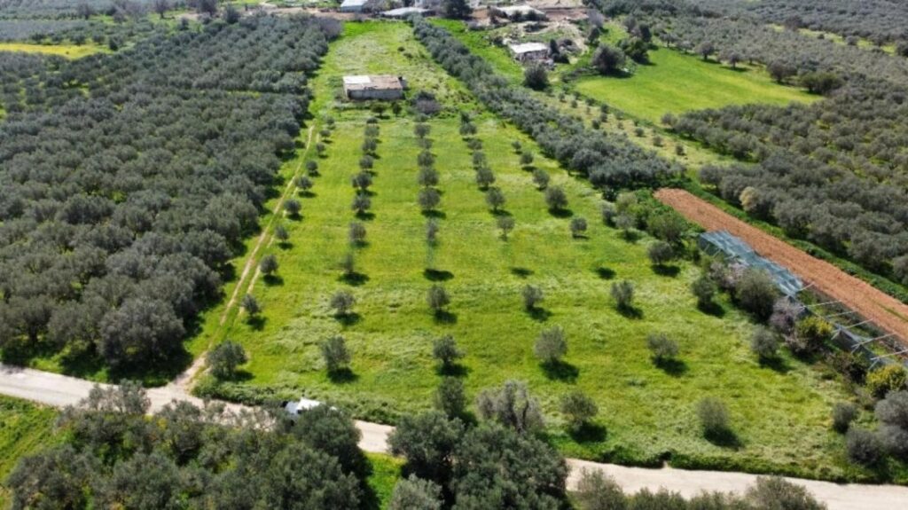 Foto der Immobilie (72321)