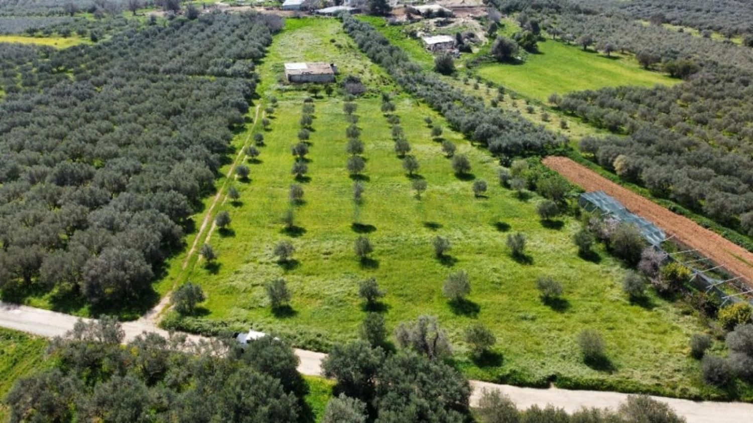 Foto der Immobilie (72321)