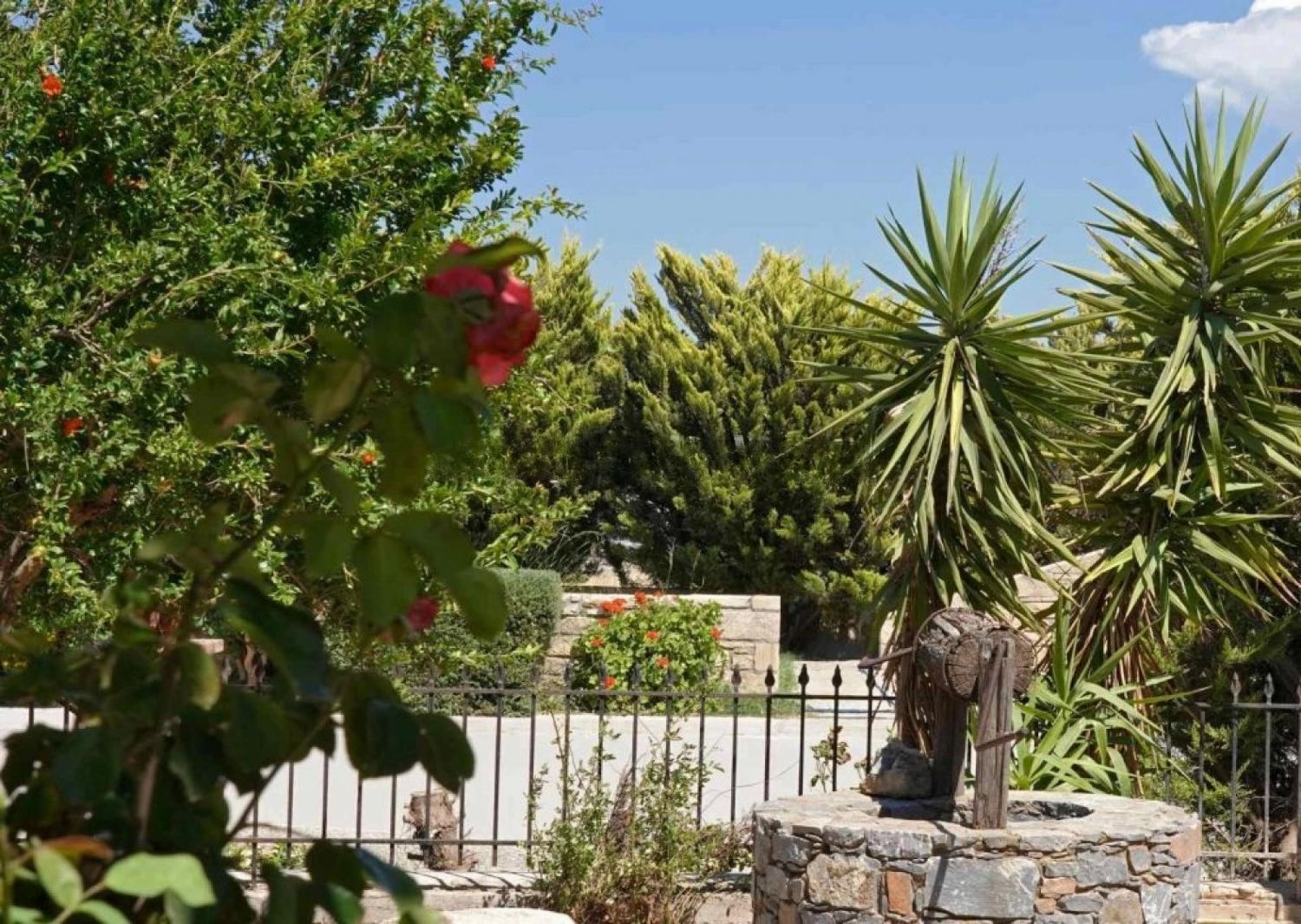 Foto der Immobilie (72352)